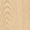 White Ash Veneer
