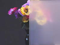 X-Ray Frosted Glass