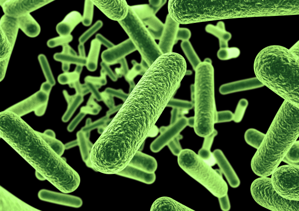 Green Bacterial Microbes