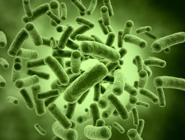 Green Bacterial Pathogens